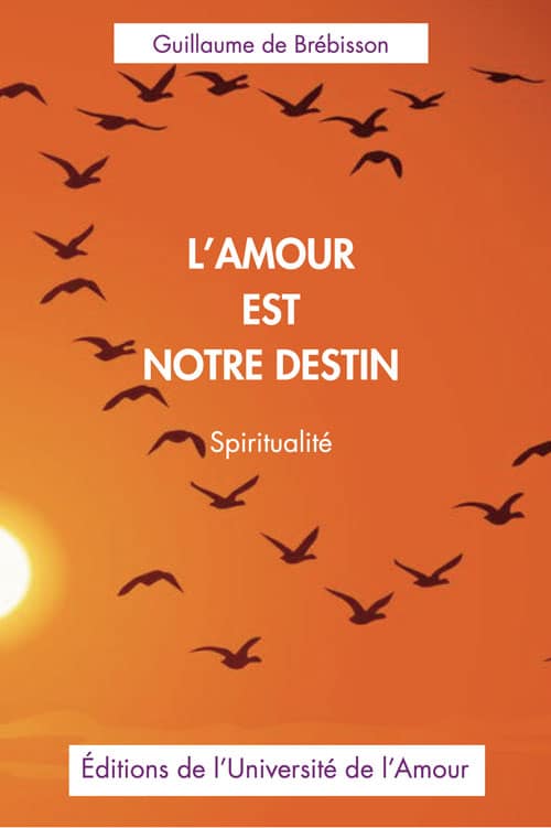 lamour-notre-destin Couverture orange du livre L’amour est notre destin