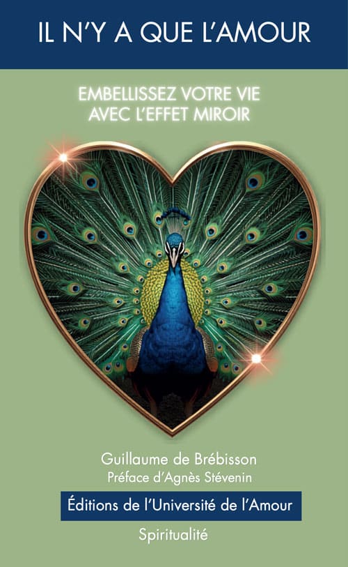 livre-effet-miroir Découvrez l’effet miroir avec Guillaume de Brébisson : comprendre ce que nos relations nous renvoient et transformer notre manière d’aimer.